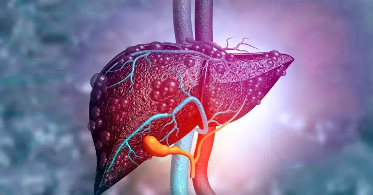 Understanding Elevated Liver Enzymes: What Your Body is Trying to Tell You.
