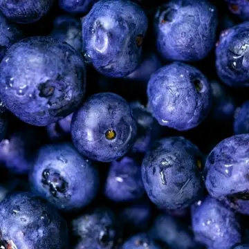 6 Uncommon Fruits & Herbs That Naturally Boost Eye Health.