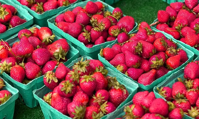 Foods That Help Your Liver: Simple Ways to Lower Liver Enzymes