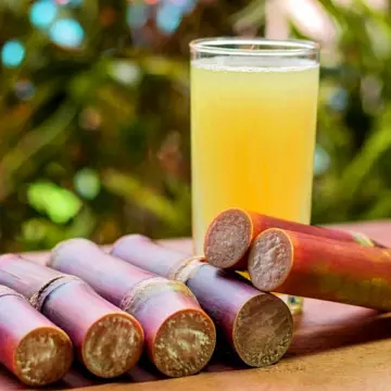 8 Sweet Benefits of Sugarcane Juice You Didn’t Know About.